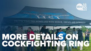 Alabama 'cockfighting capital of the Southeast,' 250 birds found in Blount County raid