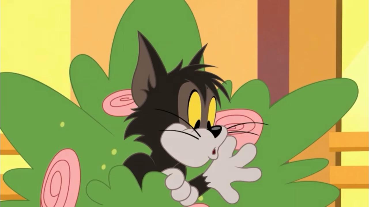 TOM AND JERRY KWA KISWAHILI BOOMERANG Tz 🇹🇿🇹🇿 YouTube