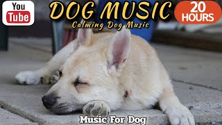 20 HOURS of Dog Calming MusicAnti Separation Anxiety Relief MusicMusic for Dogs⭐Healingmate