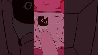 First Day With A Stray Cat