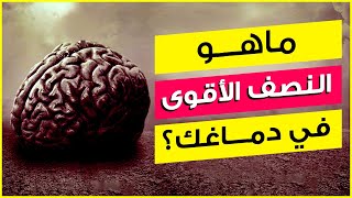 ما هو النصف الأقوى في دماغك ؟! | إختبار شخصية