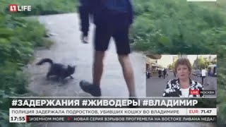 Полиция задержала подростков, убивших кошку во Владимире Полиция задержала подростков, убивших кошку во Владимире