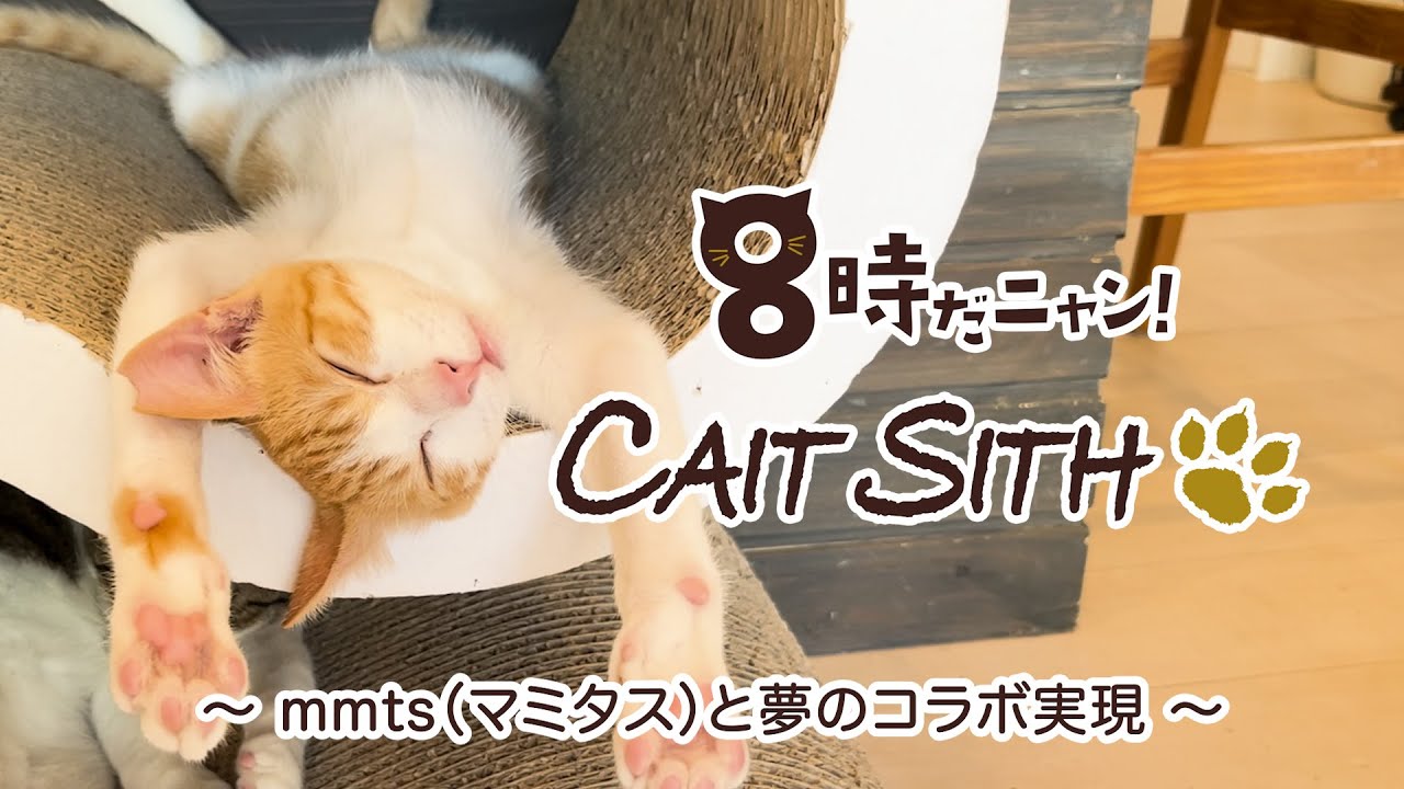しょこたんのブランドmmts(マミタス)と猫カフェ ケット・シー 夢の