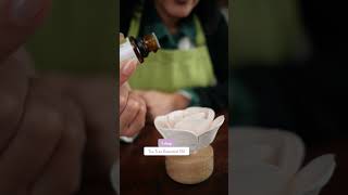 Best Spring Clean Diffuser Blend ✨ Fresh & Inviting!