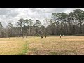 Chapel hill Cheetahs vs the Force First innings 5