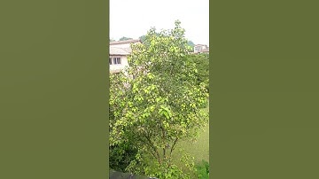 iit guwahati campus #iit #iitg #iitjee #neet #iitbombay #song #music #college #campus #iitbaba