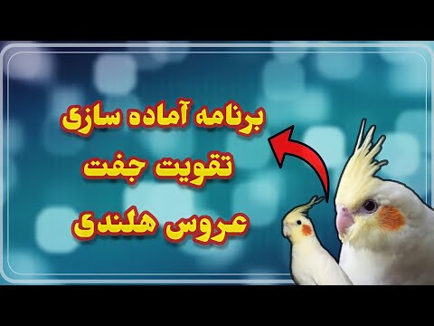 تصویری: نحوه آماده شدن برای عروسی