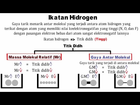 Video: Di mana ikatan hidrogen digunakan?