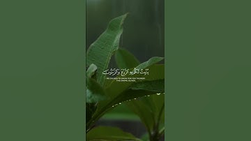 هُوَ ٱلَّذِىٓ أَنزَلَ مِنَ ٱلسَّمَآءِ مَآءً ۖ لَّكُم #قرآن #ياسر_الدوسري #تلاوات