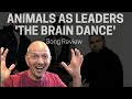 Band Teacher Reacts to Brain Dance by Animals As Leaders