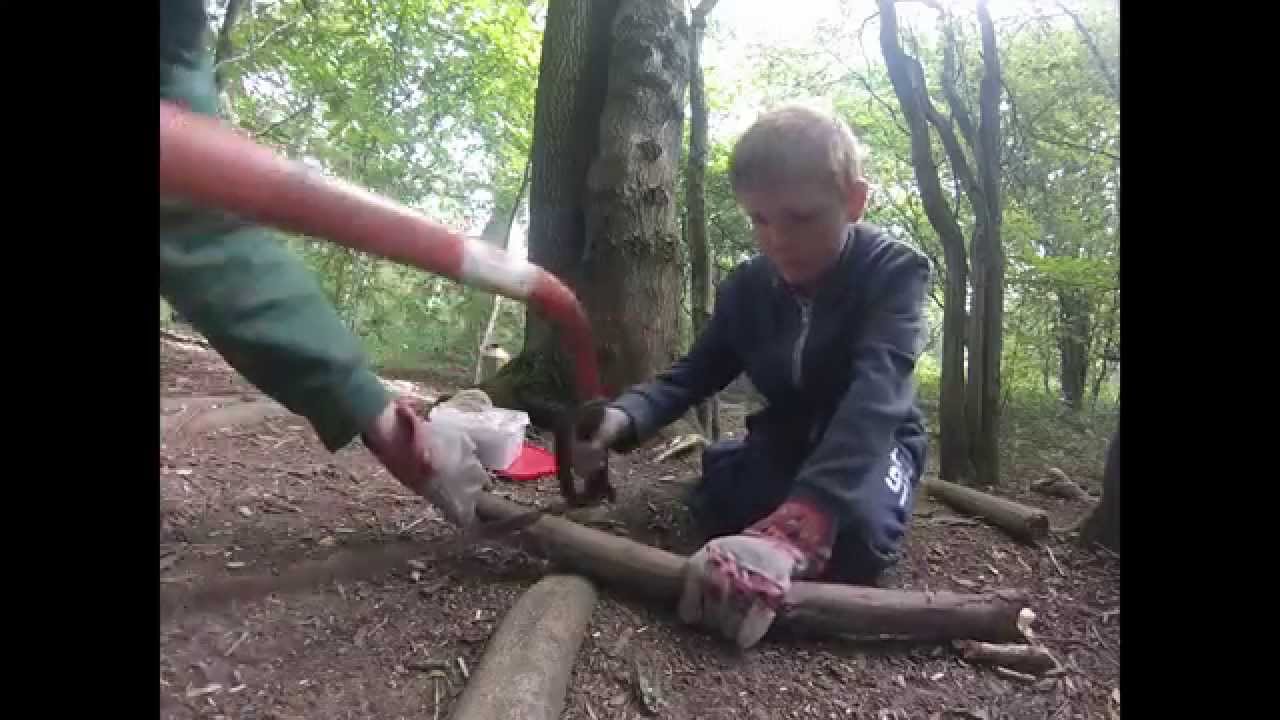 Acorn Forest Schools - Exciting Opportunities for Learning and Development