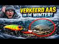 De Kleuren-LEUGEN: Waarom je in de winter met de VERKEERDE aas vist