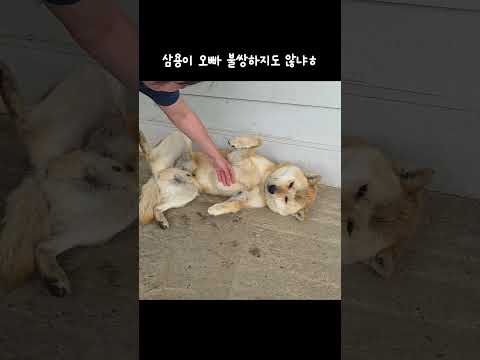 불쌍하지도 않냐