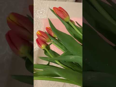 Tülpan gülü/ Zanbaq/ Tulips/ Zambak