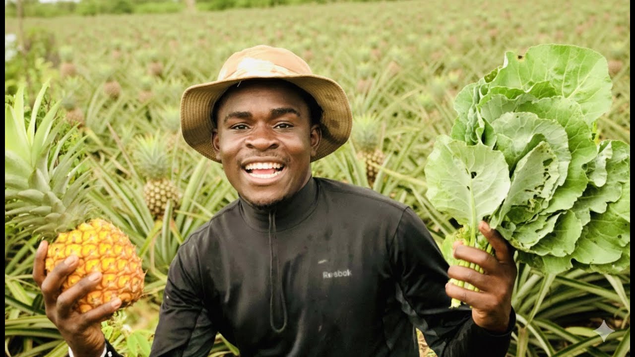 Não da para acreditar muita produção nessa época DIA incrível na machamba roça