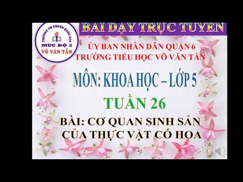 Dạy học trực tuyến - Lớp 5 - Khoa học - Tuần 26 - Bài: Cơ quan sinh sản của thực vật có hoa