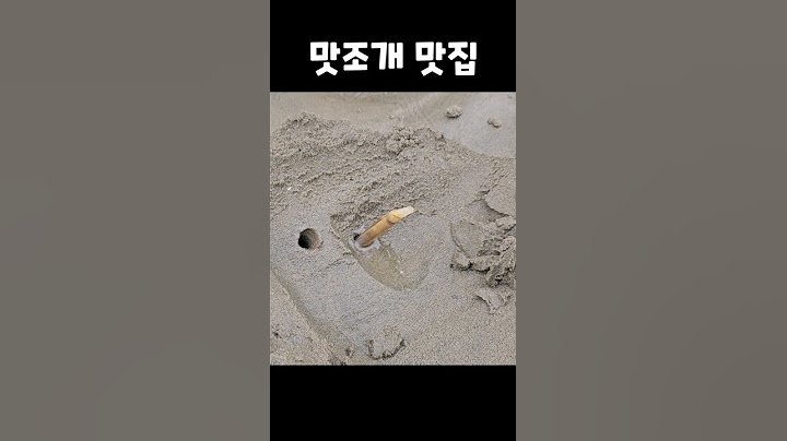 단돈 3,000원에 맛조개 맛집?! 다 잡아가라는 진산리갯벌체험장 #shorts