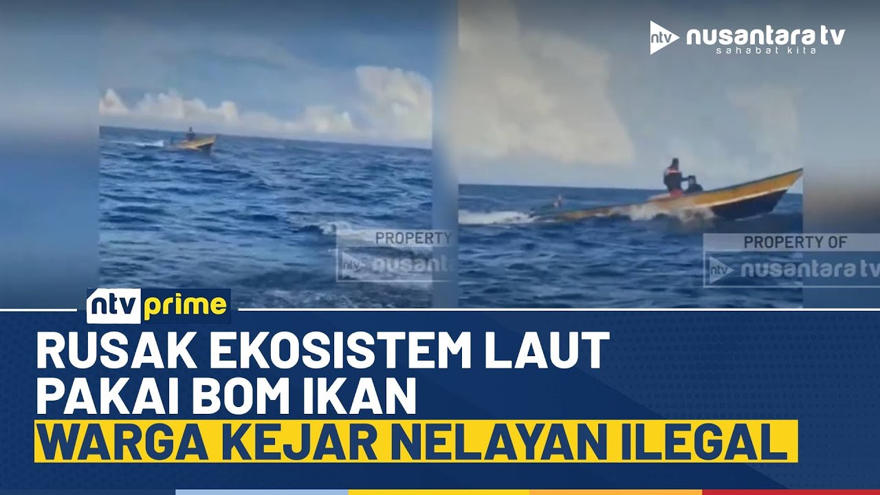 Rusak Ekosistem Laut Gunakan Bom Ikan, Warga Geram Kejar Nelayan Ilegal I NTV PRIME