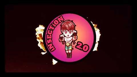 First video intro/INSECTION 2.0