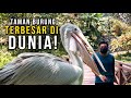 Tak Sangka Malaysia ada Taman Burung terbesar di DUNIA!