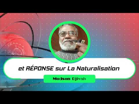 QN°7 : C'est