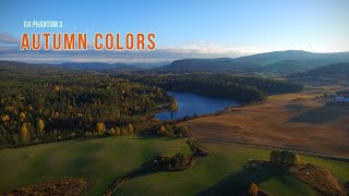 Autumn colors with the old Dji Phantom 3 drone by AJ Enggrav 17 views 3 years ago 1 minute, 22 seconds