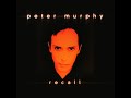 PETER MURPHY Rollcall Recall From The 1998 Recall Ep Audio mp3