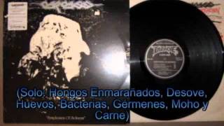 Carcass - Cadaveric incubator of endoparasites (Subtitulado en español)