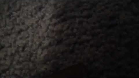 HWK 2 Program #2 Robotics ECE 1001 University of Colorado Colorado Springs