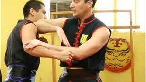 Beginning Wing Tsun Techniques : Wing Tsun Hook Punch Blocks