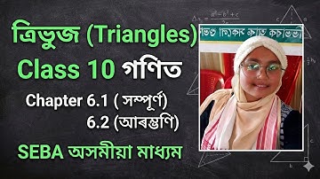 Class 10 Maths Triangles Day 1 | Exercise 6.1 Complete & 6.2 Start | Assamese