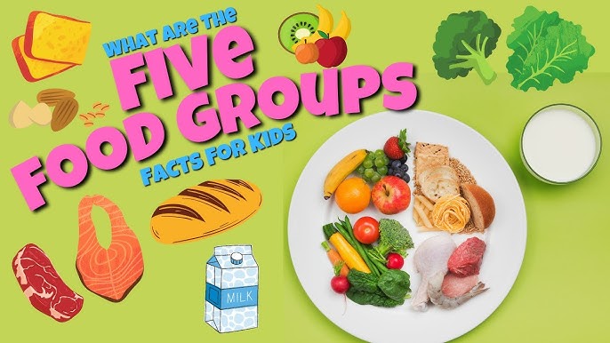 The 5 Food Groups - Educational Facts For Kids - Youtube