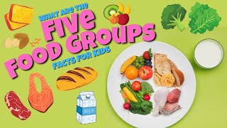 The 5 Food Groups - Educational Facts for Kids