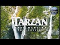 Tarzan | Calm Continuous Mix