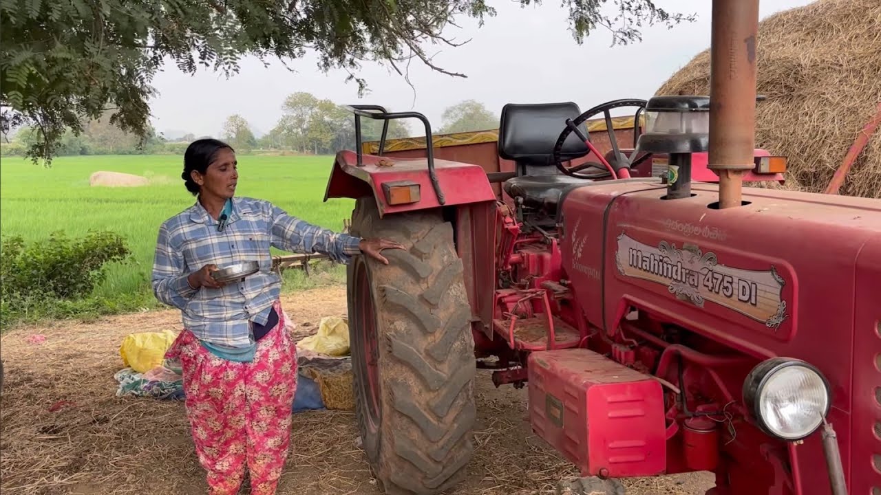 ఈ Tractor  మాకు అన్నాం పెట్టింది 🙏 || ఈ రోజు మొక్కజొన్న కోశాము