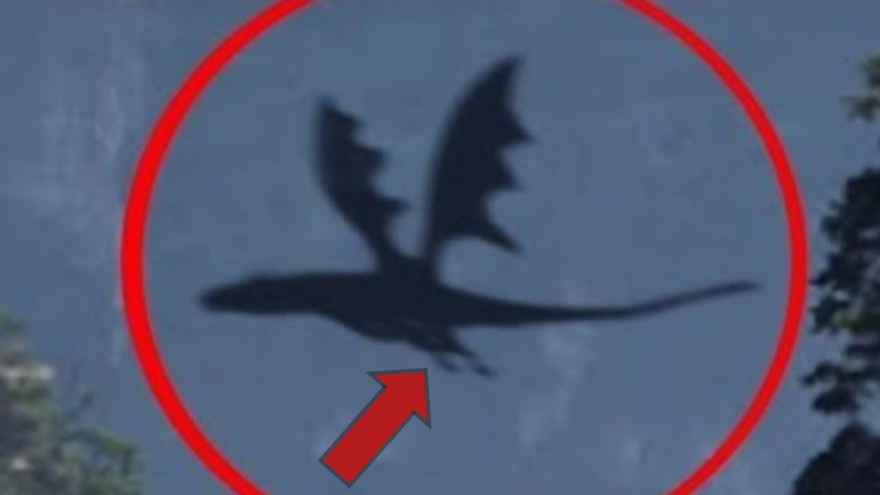 5 REAL DRAGON CAUGHT ON CAMERA - YouTube
