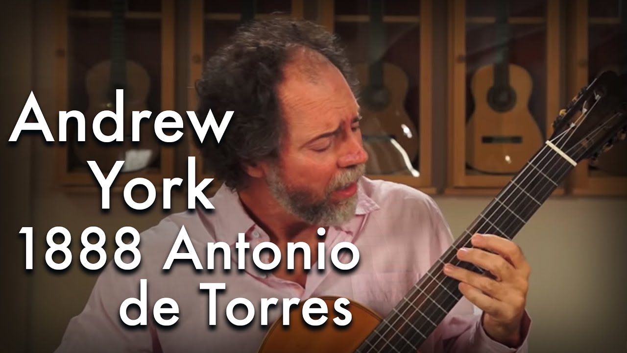 Andrew York Andrew York
