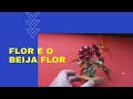 Como Fazer a Flor e o Beija Flor com Garrafa Plástica!!!