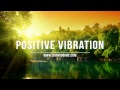 Reggae instrumental  positive vibration