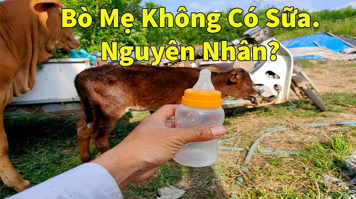 1 con bò cho bao nhiêu lít sữa 1 ngày năm 2024