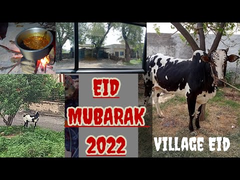 Eid Al Adha 2022 vlog | first day of eid in Village | vlog by aruba