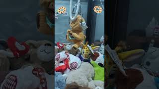 Pegando ursinho rosquinha 😂 #youtubeshorts #clawmachine #maquinadepelucia #machine #shorts