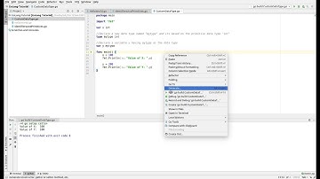 GoLang - Custom Data Type and Conversion