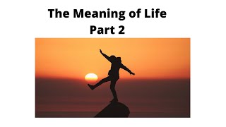 The Meaning of Life: (P2) The Question at Hand