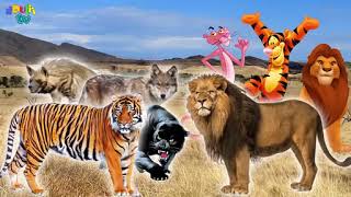 wild animals drulii tv finger family