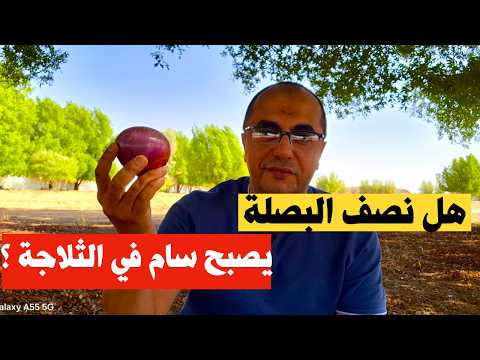 صحح معلوماتك نصف البصلة السامة البصل