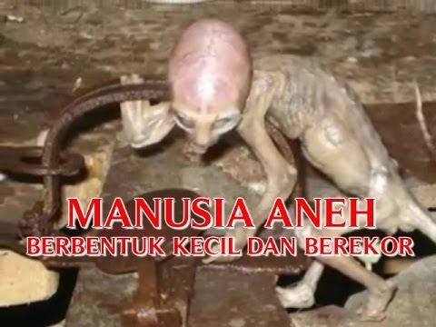 VIDEO KEJADIAN 'ANEH TAPI NYATA' KEJADIAN ANEH YANG PAL 