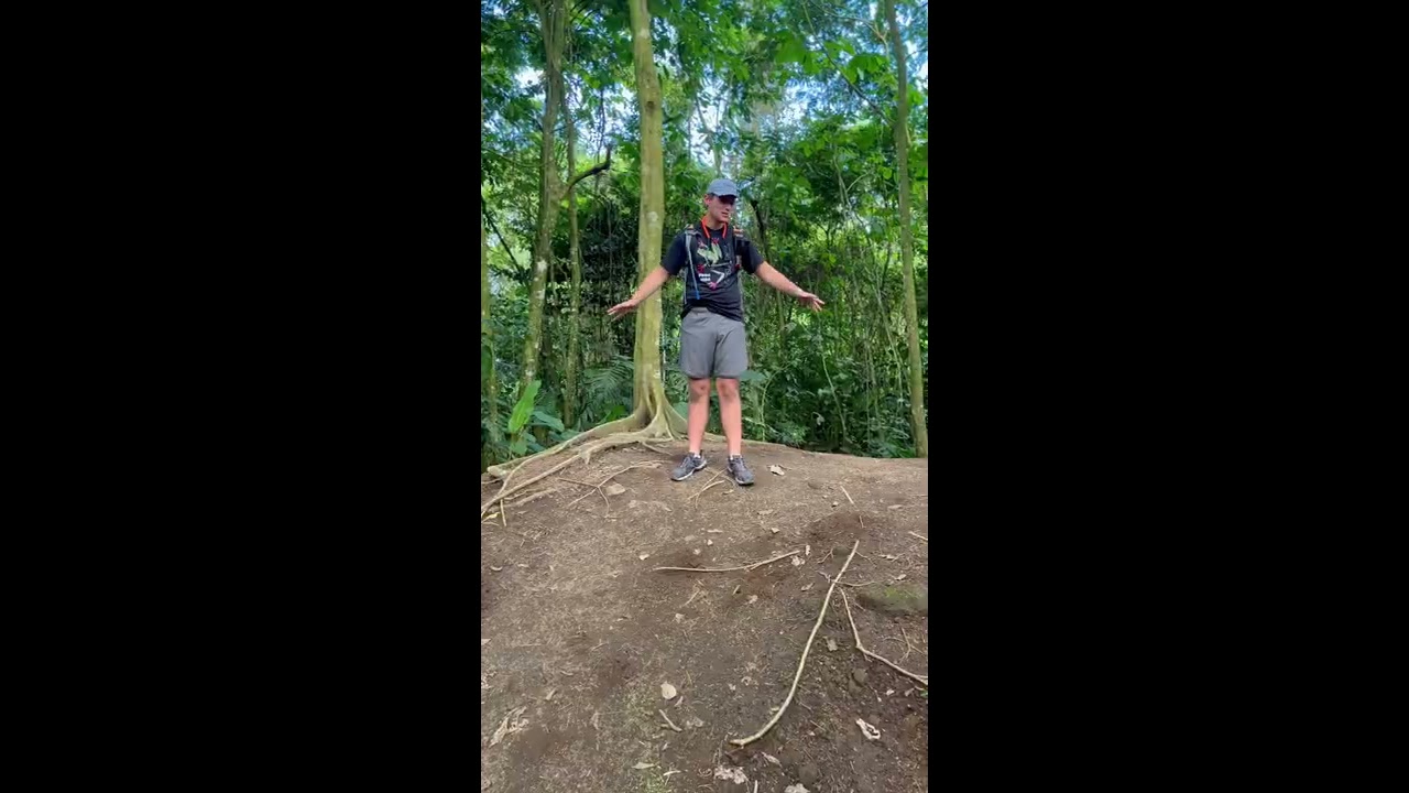 WORLD S BIGGEST ANT HILL 
