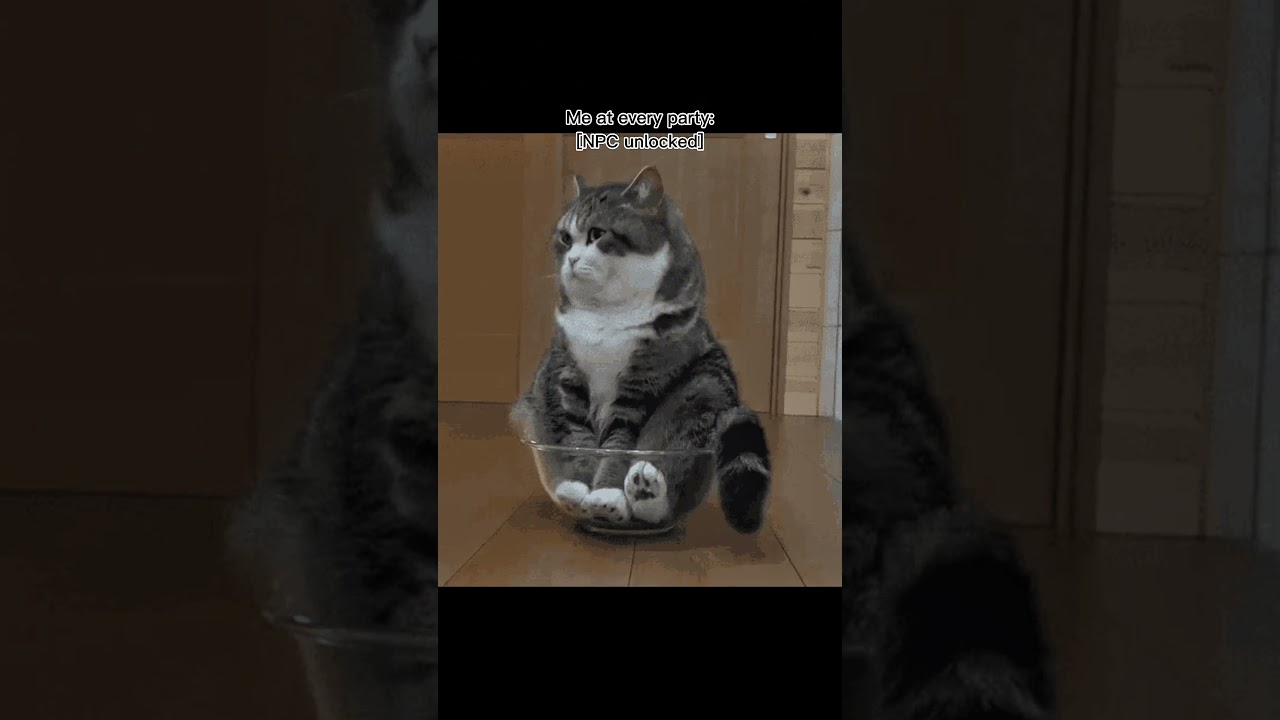 NPC Energy 🎵 | Relatable Song for Background Characters