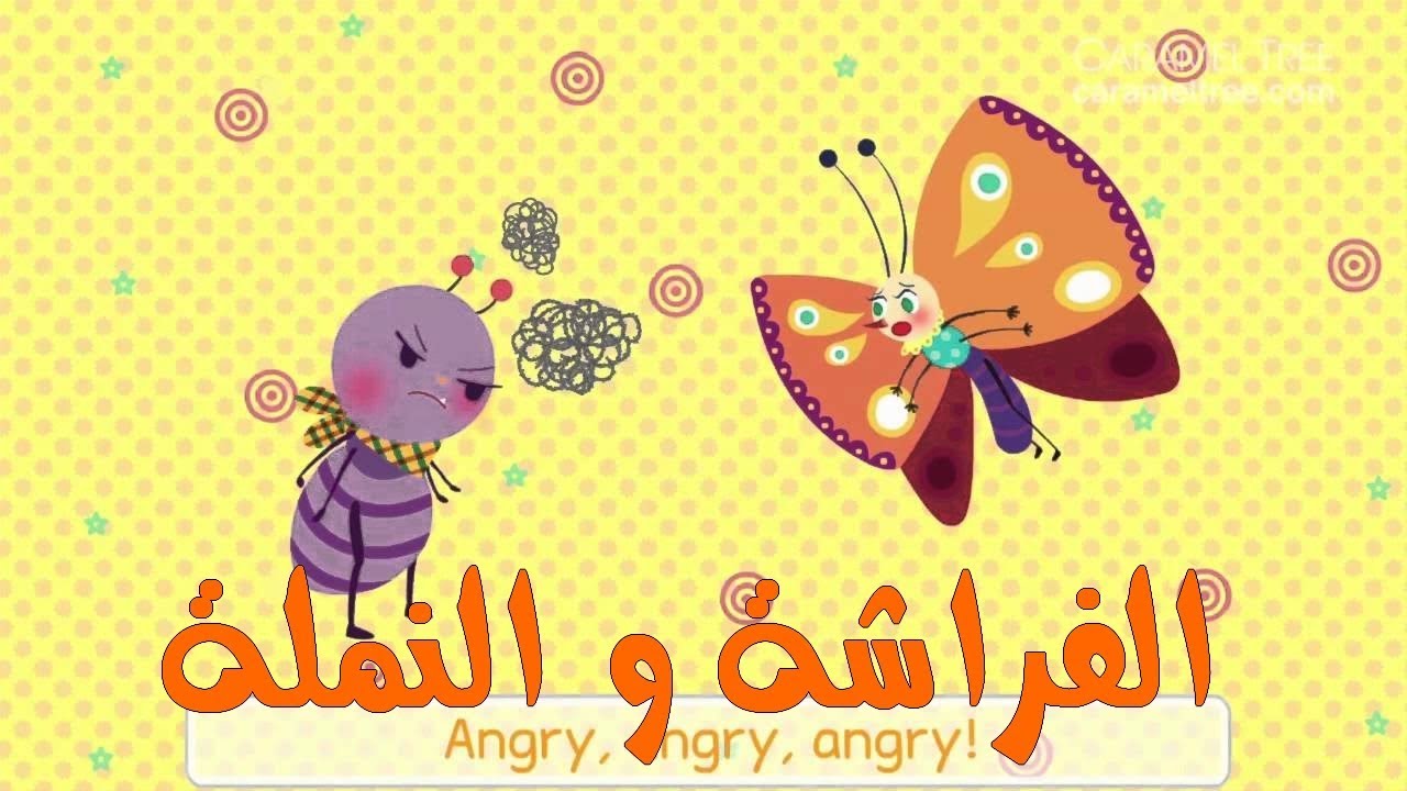 نص القراءة الفراشة و النملة مع الحل للسنة الثالثة ابتدائي لجيل لثاني